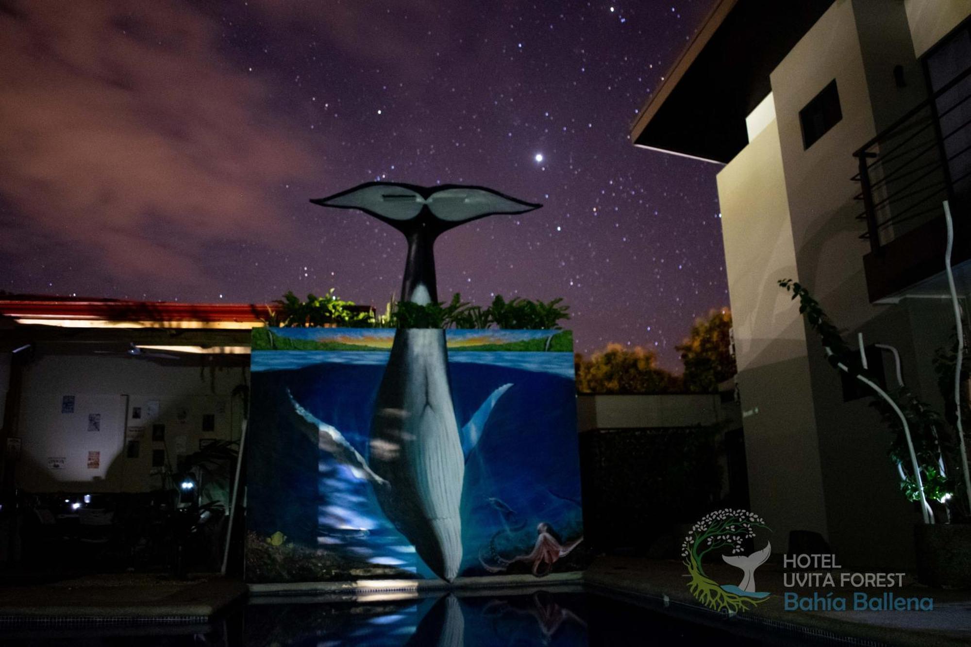 Hotel Uvita Forest ภายนอก รูปภาพ