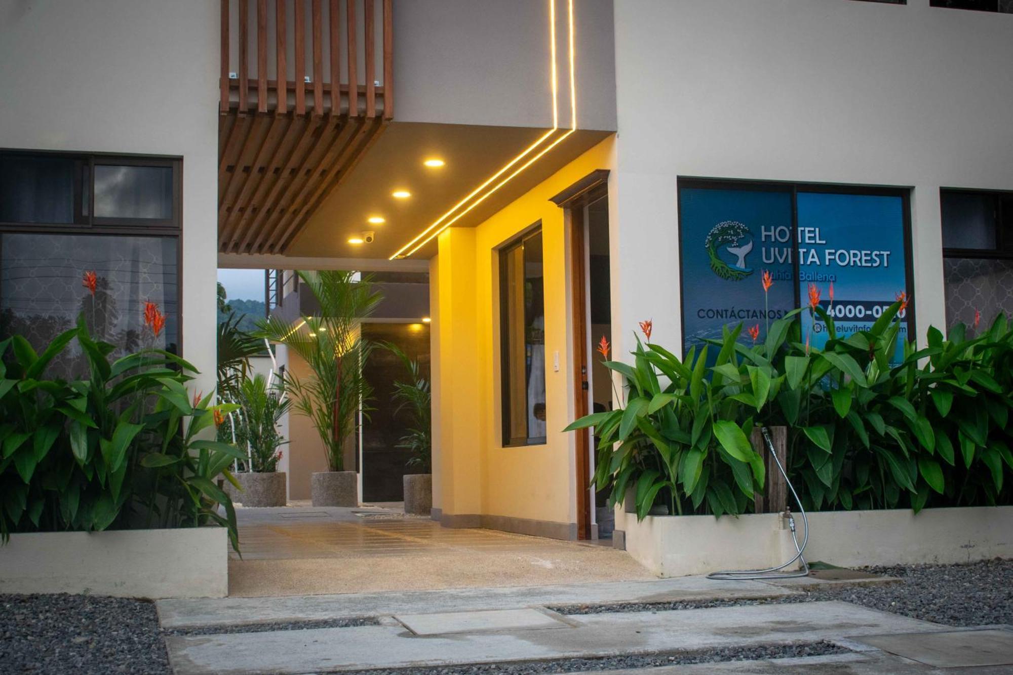 Hotel Uvita Forest ภายนอก รูปภาพ